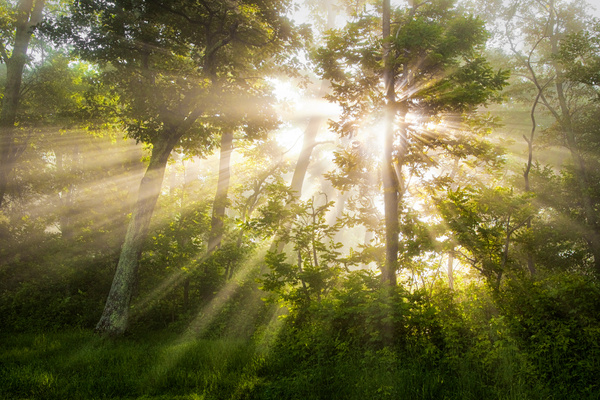 Light Breaking Forth